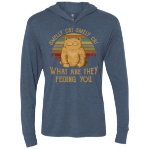 Smelly cat smely cat what are they feding you vintage unisex hoodie