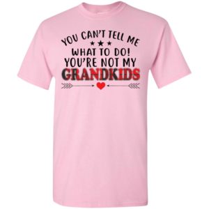 You cant tell me what to do youre not my grandkids t-shirt