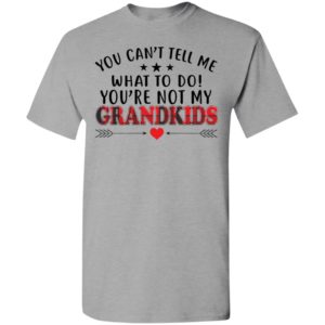 You cant tell me what to do youre not my grandkids t-shirt