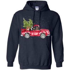 Cats ride christmas trees truck noel cat lover big trucks hoodie