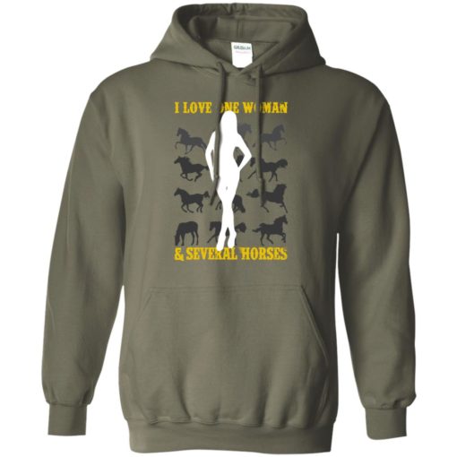 I love one woman and several horses funny husband farming horse lover hoodie