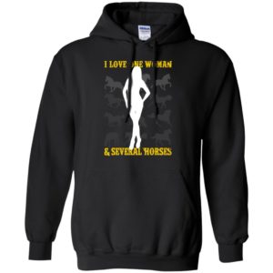 I love one woman and several horses funny husband farming horse lover hoodie