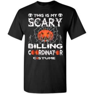 My broom broke so i became a billing coordinator funny halloween gifts t-shirt