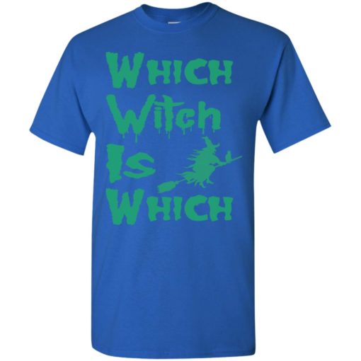 Which witch is which funny halloween lover gift t-shirt