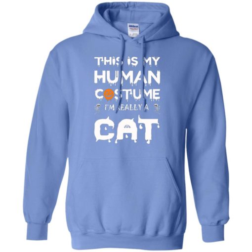 Human costume i’m really a cat funny halloween gift for cats lover hoodie